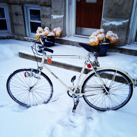1973 Raleigh Sports