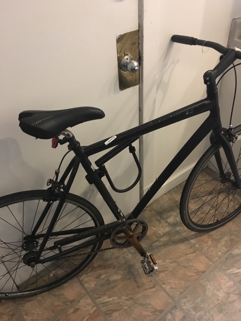 Trek Soho Deluxe 