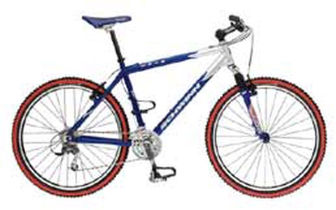 schwinn moab