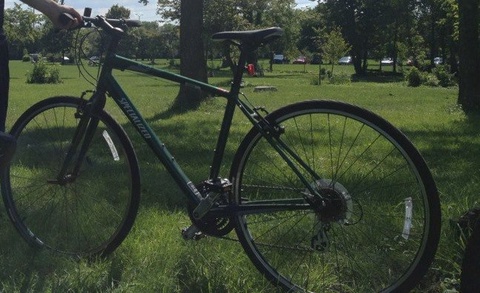 Specialized Sirrus - 2012 Green