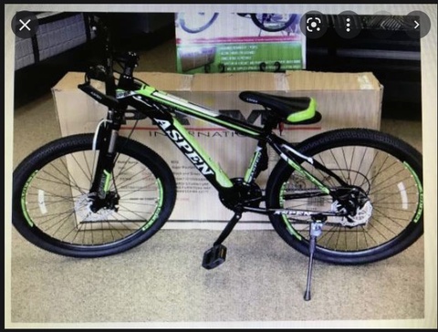 Aspen Mountain Bike