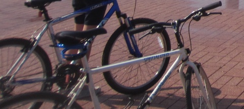 Specialized Road Bike 