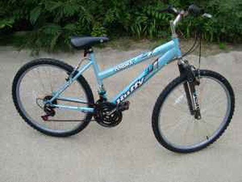 Iron Horse Bike