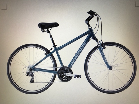 Cannondale Adventure 2
