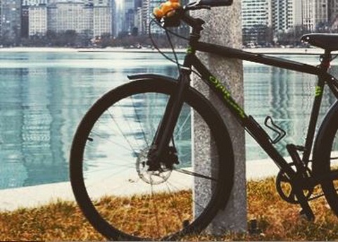 Spot Brand, Custom Build
