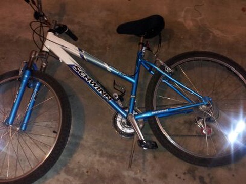 Schwinn Ranger 2.6