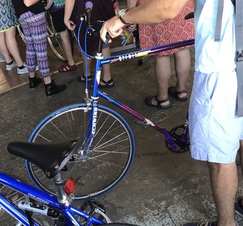 Schwinn Premis