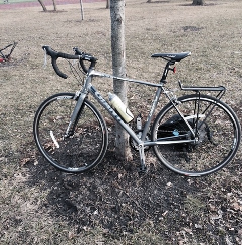 Giant Defy