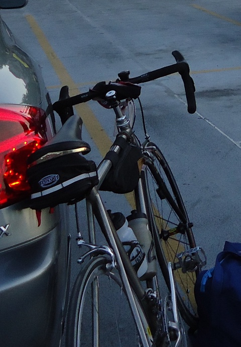 Macalu/Campy-(litespeed)
