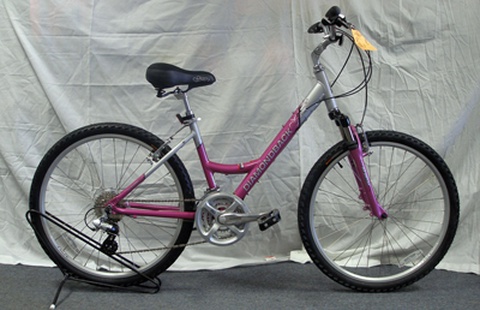 Diamondback Wildwood Delux