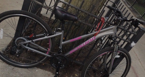Schwann m/ trail way 700c/grey and pink