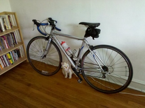 2010 Raleigh Grand Sport