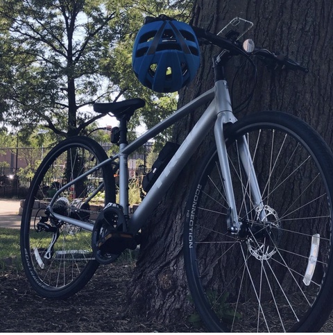 Trek FX 2