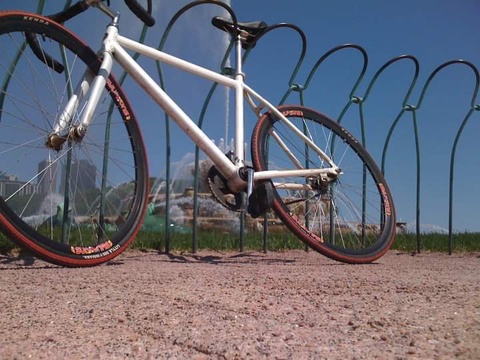 Schwinn Little 500