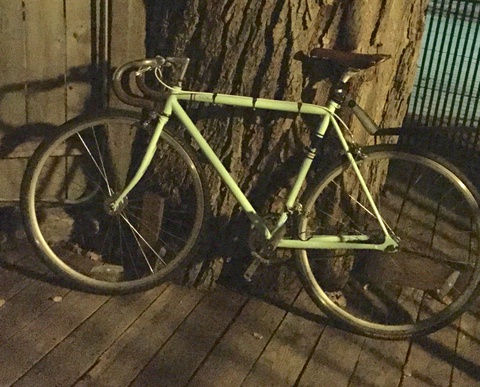 2014 Fuji Feather