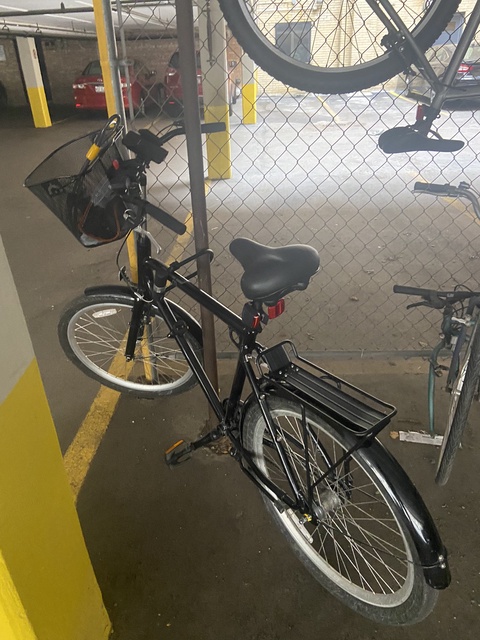 Batavus Utility Bike (BUB)