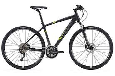 2015 Giant Roam 2