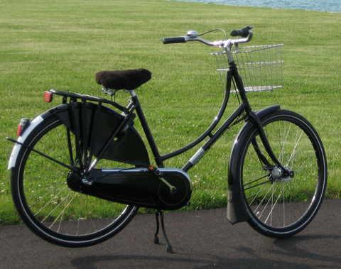Workcycle Oma fiets