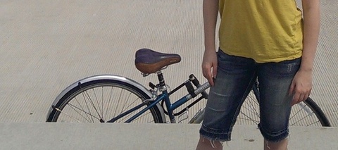 Jamis with Chicago flag paint