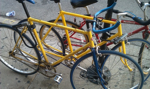 Schwinn Caliente