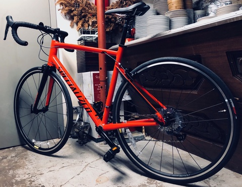Specialized Allez