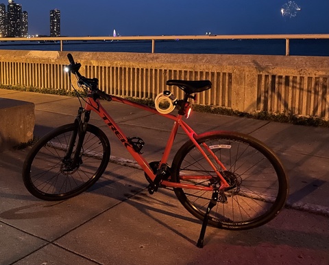 Trek Dual Sport 2 2020