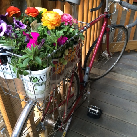Vintage (1978/9) Trek 710