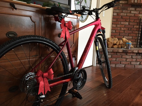 Marin San Rafael DS2 Sport Hybrid Bike - 2018