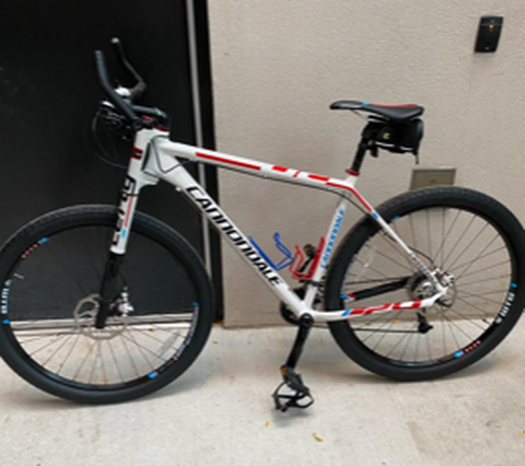 Cannondale F29-1 Lefty
