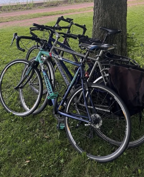 Bianchi Axis
