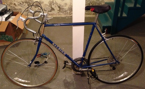 Raleigh Olympian
