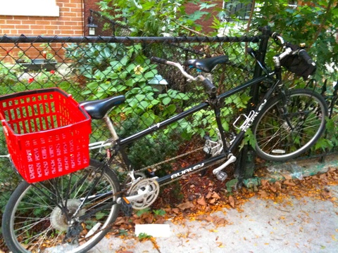 Burley Tandem