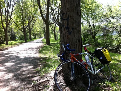 trek 1000
