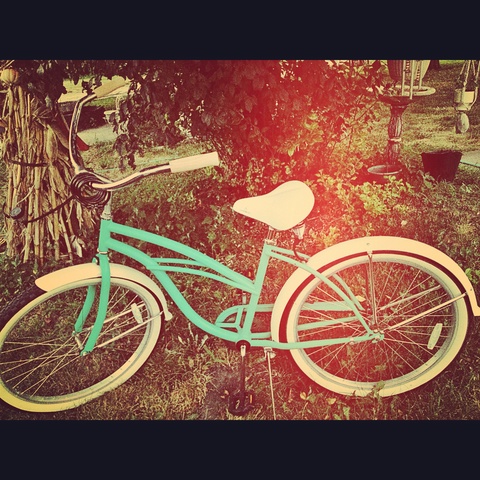 Chubby's Beach Cruiser