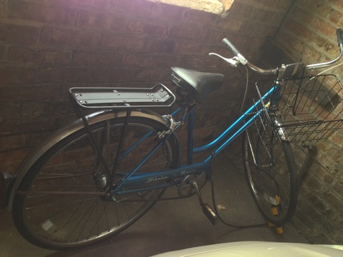 Schwinn breeze