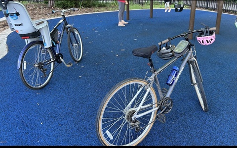 Schwinn Fifth Avenue