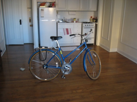 Free Spirit Brittany 10 Speed