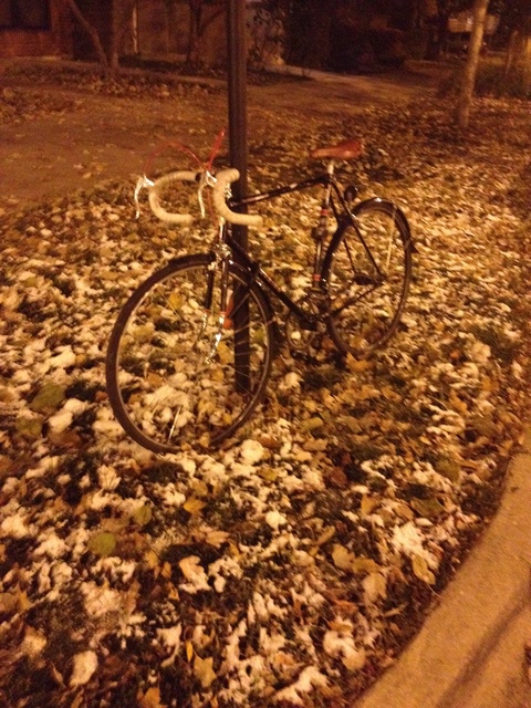 1970's Schwinn Super Le Tour 