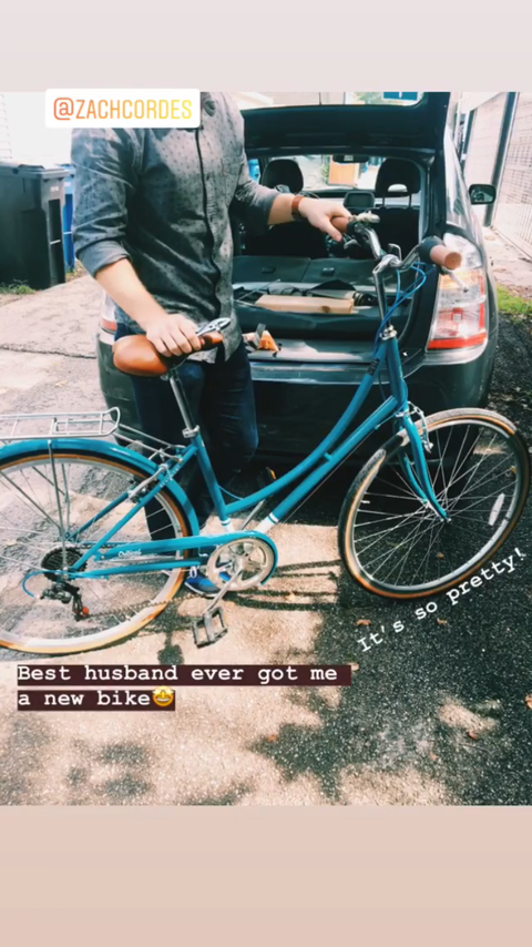 Critical Cycles Beaumont-7 Seven Speed Lady's Urban City Commuter Bike