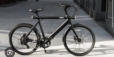 WING Back Ebike