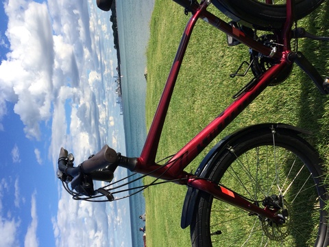 Specialized Roll