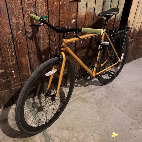 Fyxation Eastside X Gold