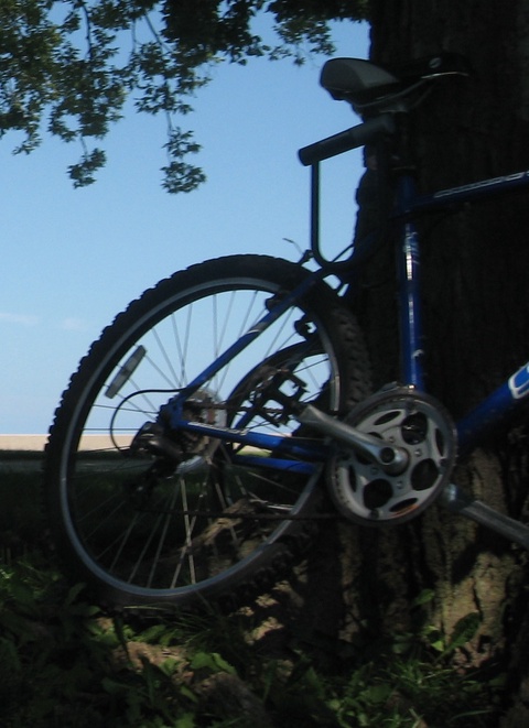 Giant Boulder SE 