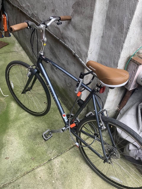 Bianchi Torino