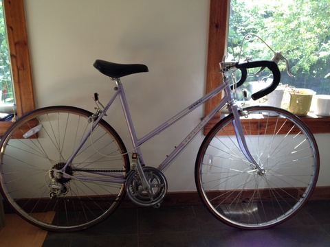 Schwinn Sprint