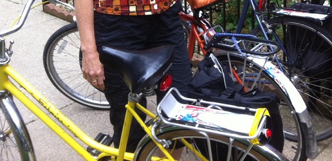 Schwinn Collegiate 
