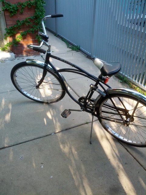 Schwinn Typhoon