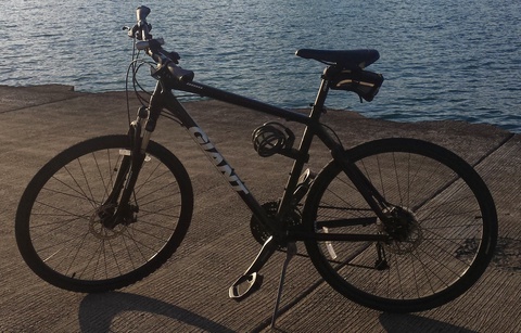Giant Roam 1 (2012)