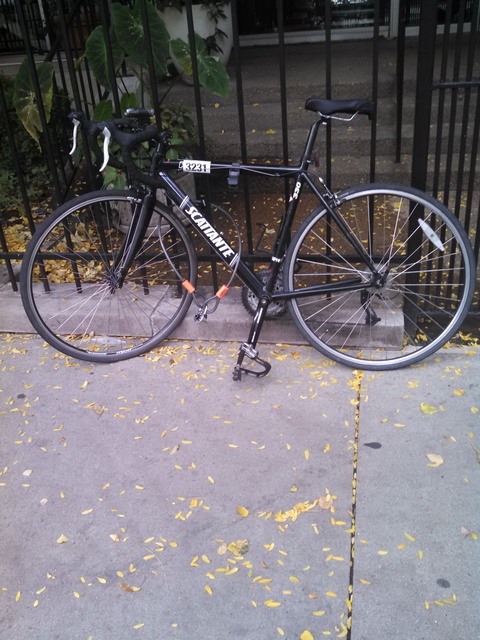 2010 Scattante R-330 Road Bike