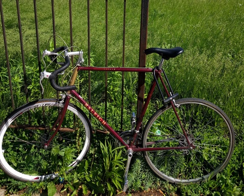 Raleigh Record